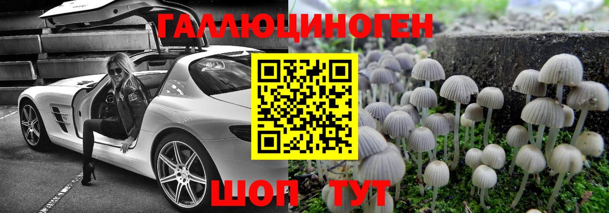 Назрань  Галлюциногенные грибы Psilocybe  Вход с VPN 